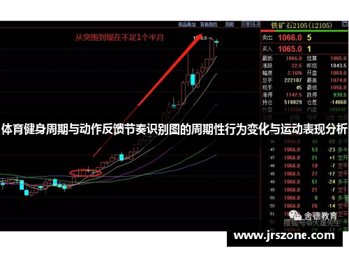 体育健身周期与动作反馈节奏识别图的周期性行为变化与运动表现分析